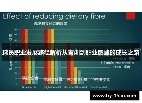 球员职业发展路径解析从青训到职业巅峰的成长之路 球员职业发展路径解析从青训到职业巅峰的成长之路