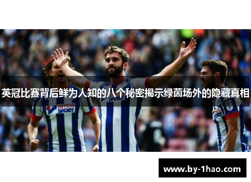 英冠比赛背后鲜为人知的八个秘密揭示绿茵场外的隐藏真相