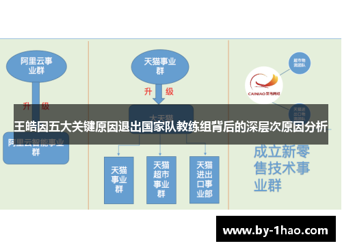 王皓因五大关键原因退出国家队教练组背后的深层次原因分析