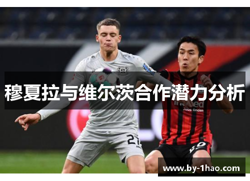 穆夏拉与维尔茨合作潜力分析